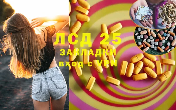 ПСИЛОЦИБИНОВЫЕ ГРИБЫ Баксан