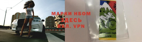 ПСИЛОЦИБИНОВЫЕ ГРИБЫ Баксан