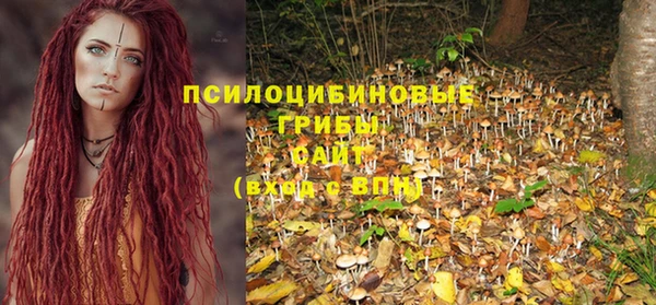 прущие крисы Балахна