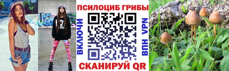 Галлюциногенные грибы GOLDEN TEACHER  omg как войти  Плавск  где продают наркотики 